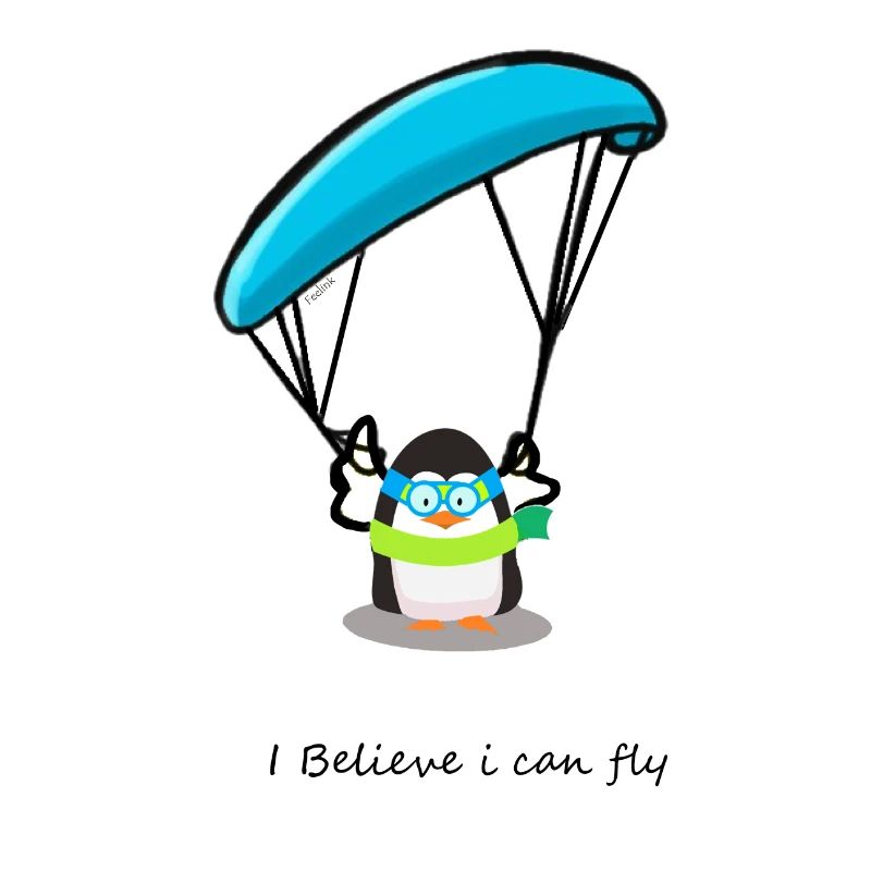 Gleitschirm Paragliding Berge Pinguin