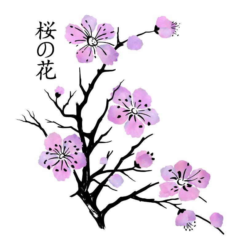 Fleurs de cerisier