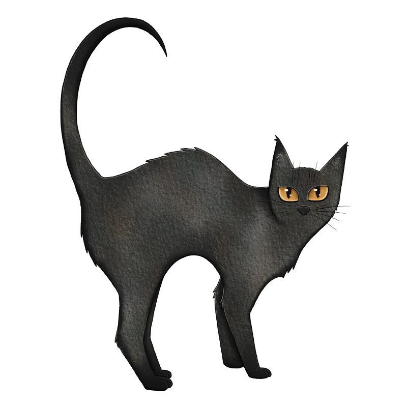 Chat Noir