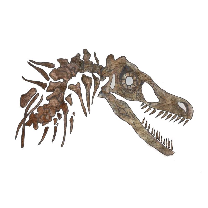 Velociraptor Skeleton