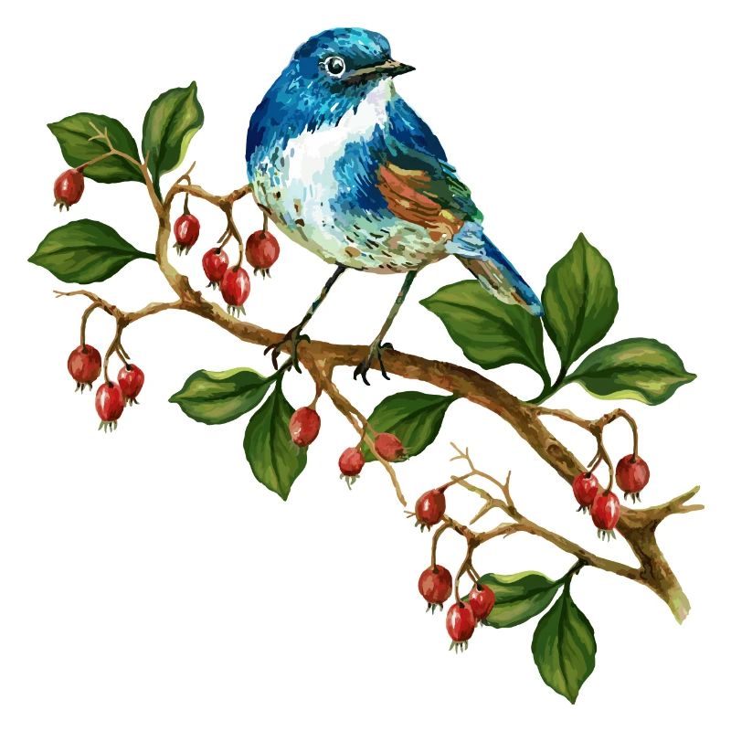 Bunter Vogel