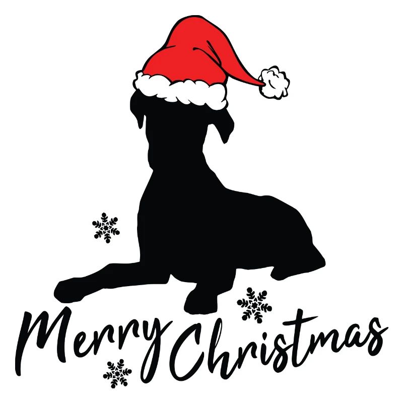 Joyeux boxer de Noël