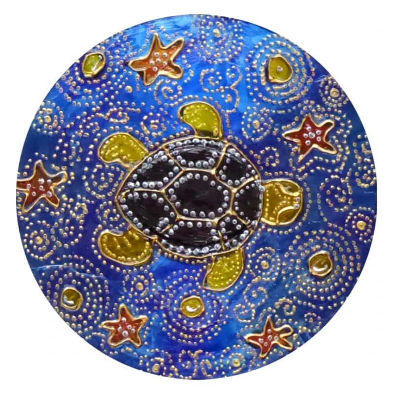 Modifizierte blaue CD Schildkröte 1