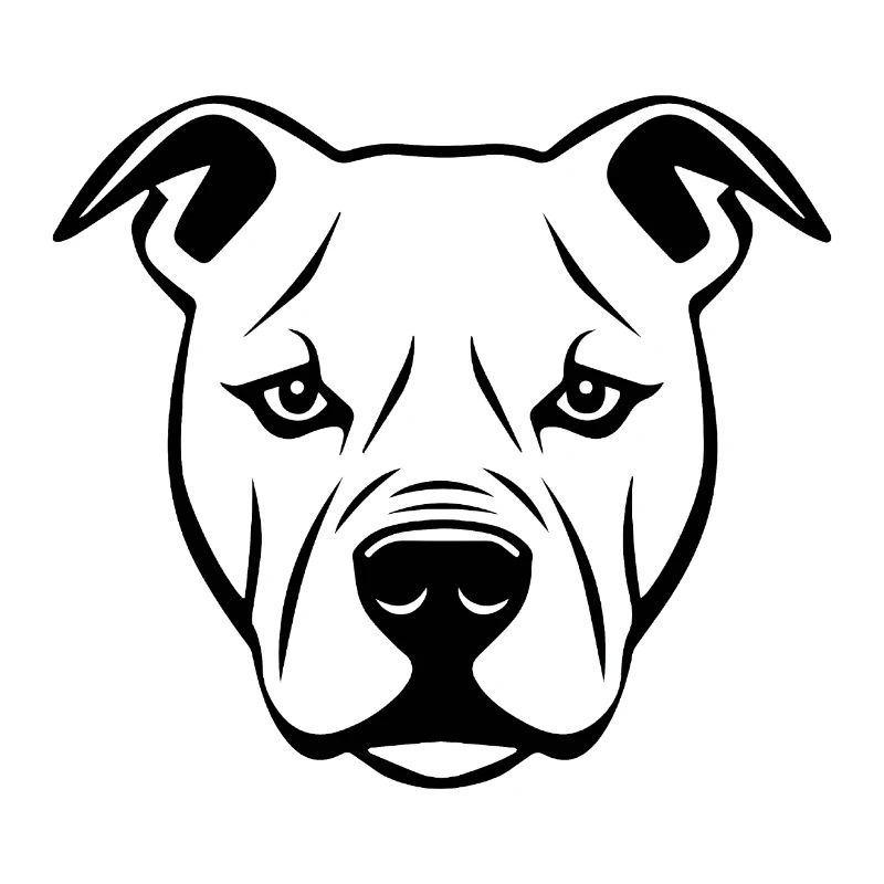 Pitbull
