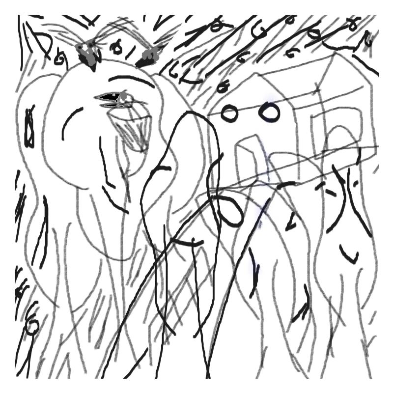 Forêt animée transparente