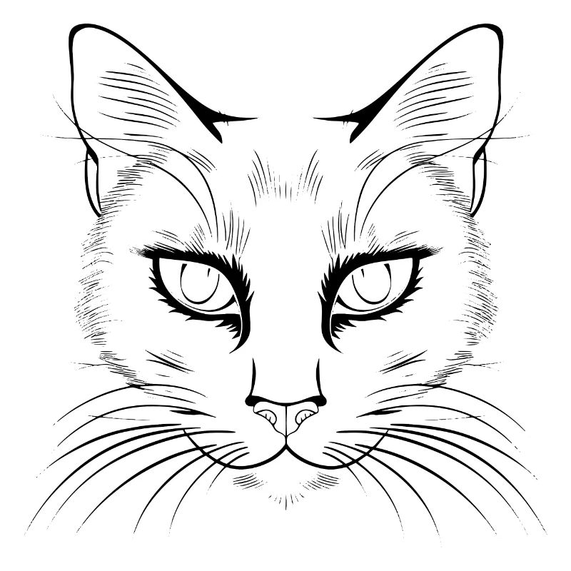 Cat, Cat Motif, Cat Face