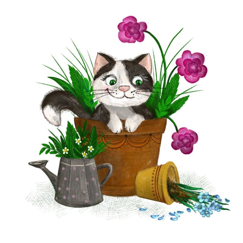 Chat dans le jardin