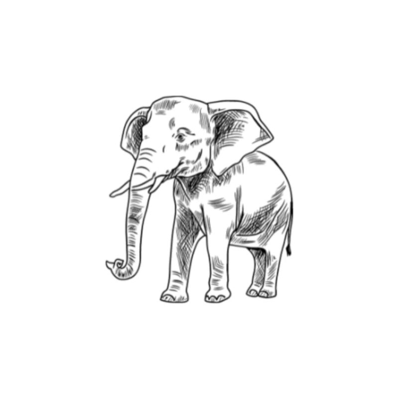Elefant 1