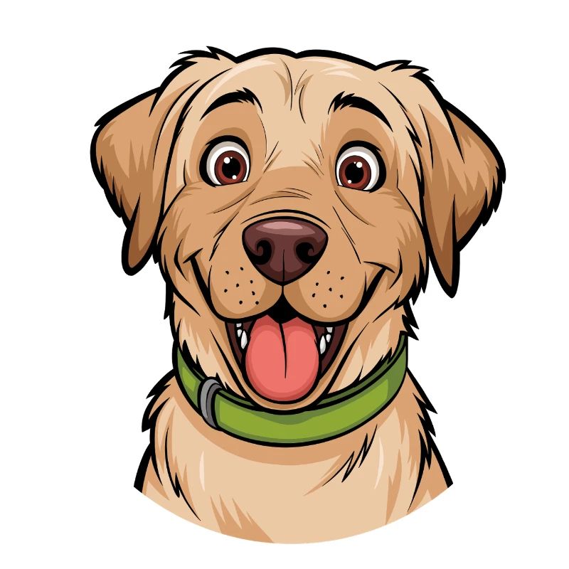 Labrador Portrait