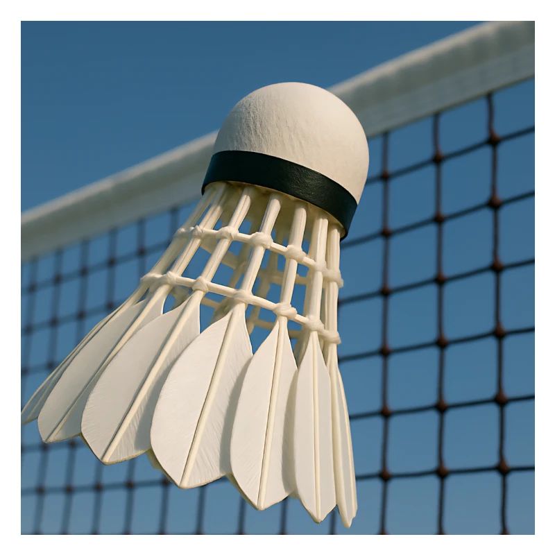Sportarten - Badminton