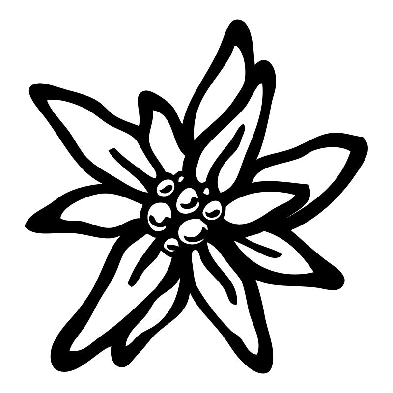 Edelweiß