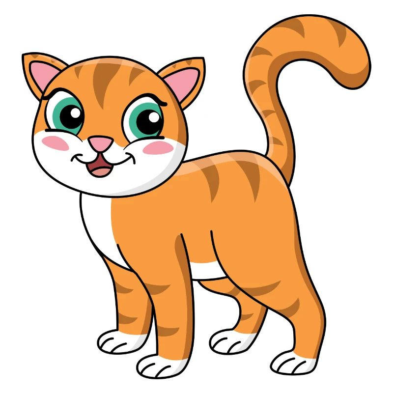 Chat