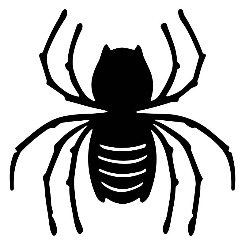 Spinne