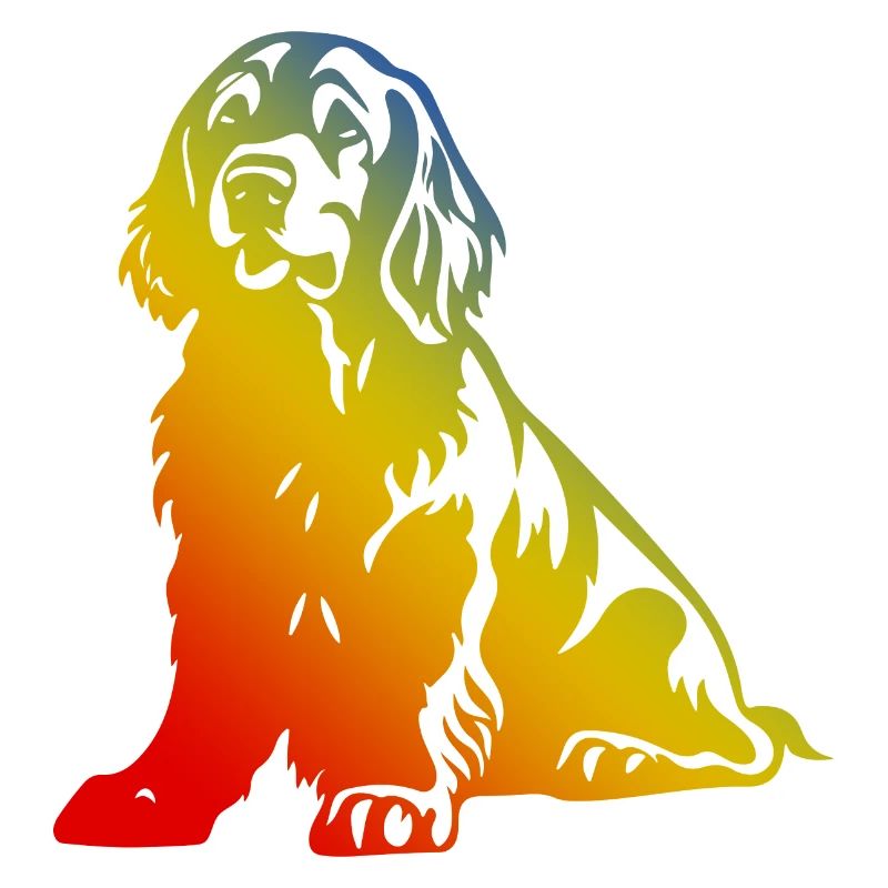 Cocker Spaniel Hund Bunt