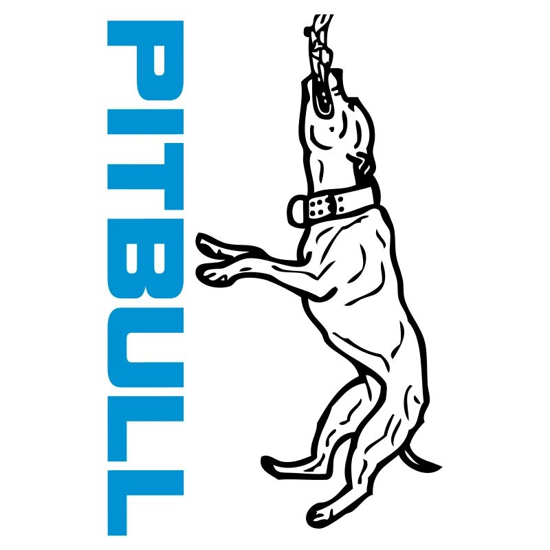 Pitbull play © www.dog-power.nl