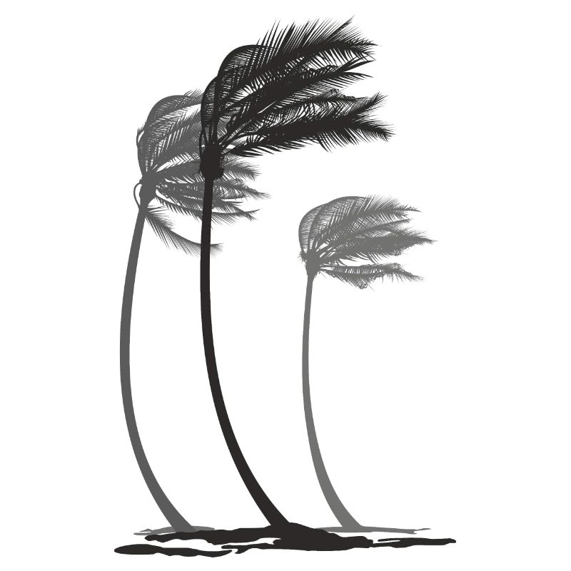Palms in the wind