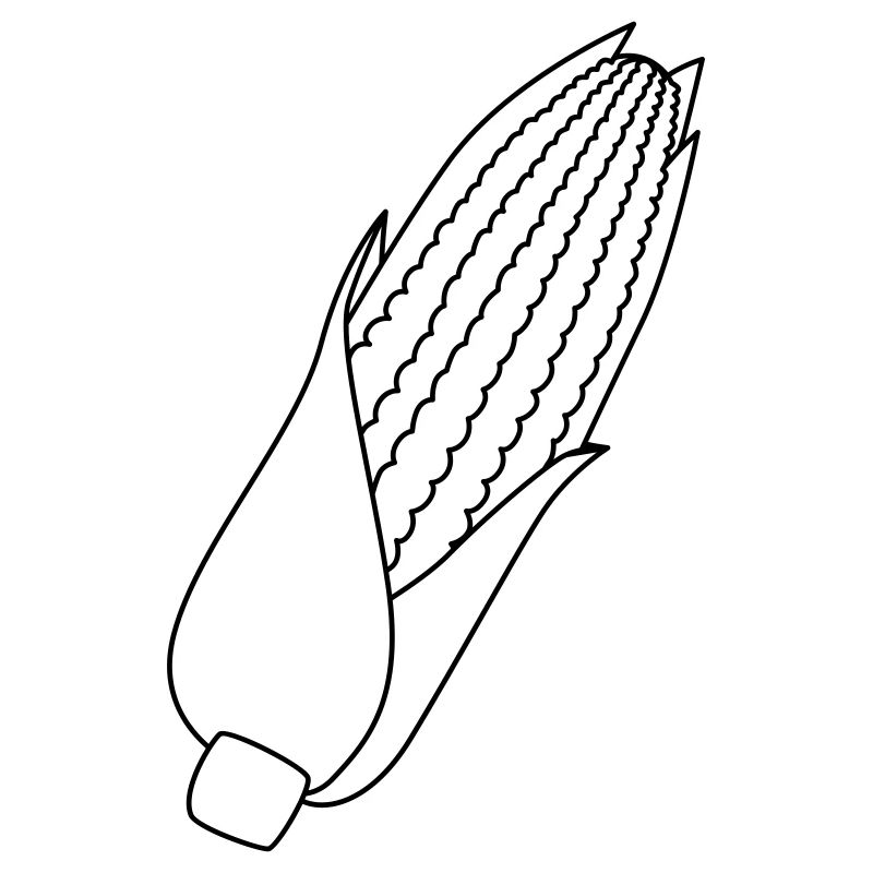 Corn