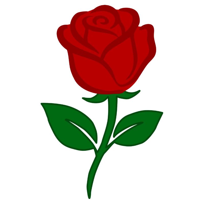 Rote Rose