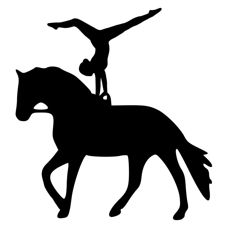 Einzelvoltigierer Handstand