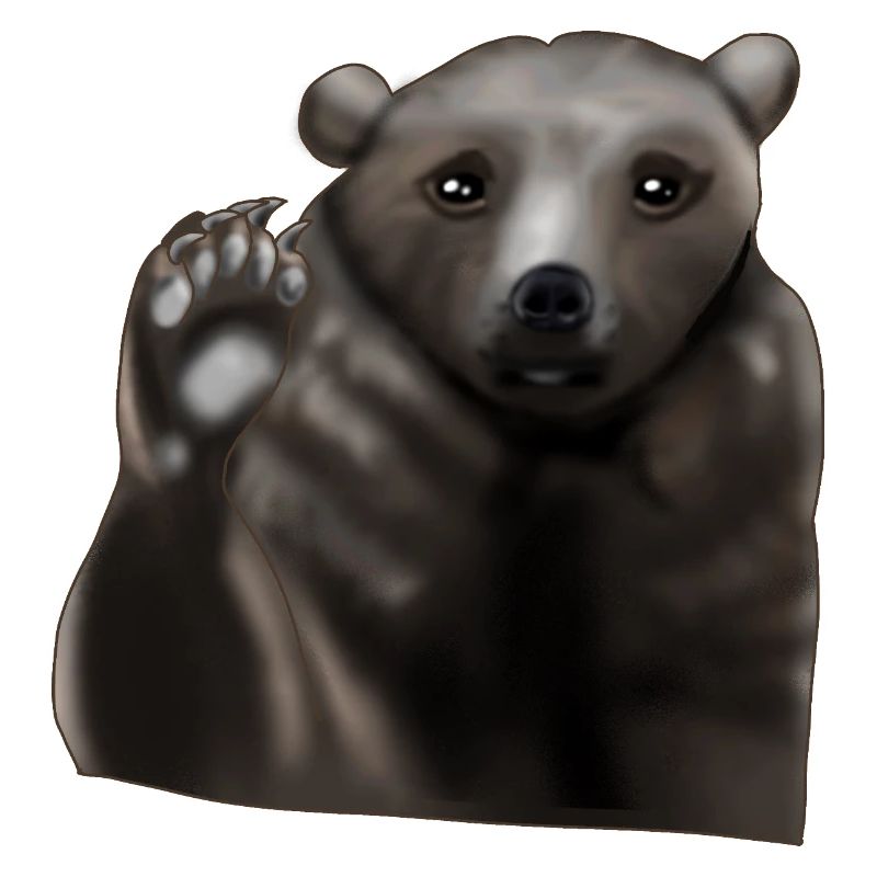 Brown bear