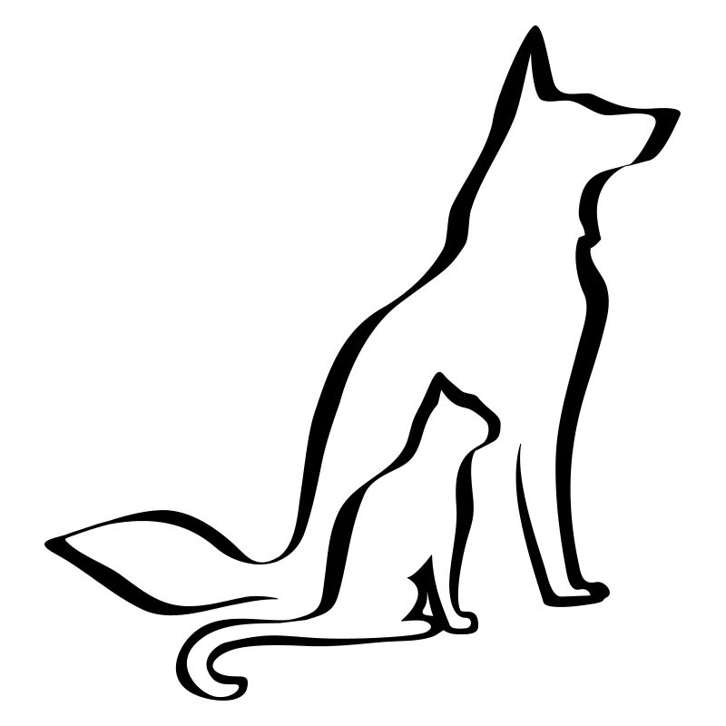Dog & Cat