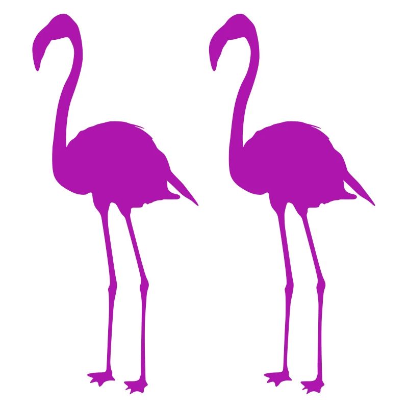 flamingos