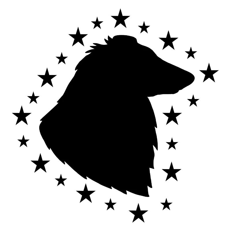 Collie