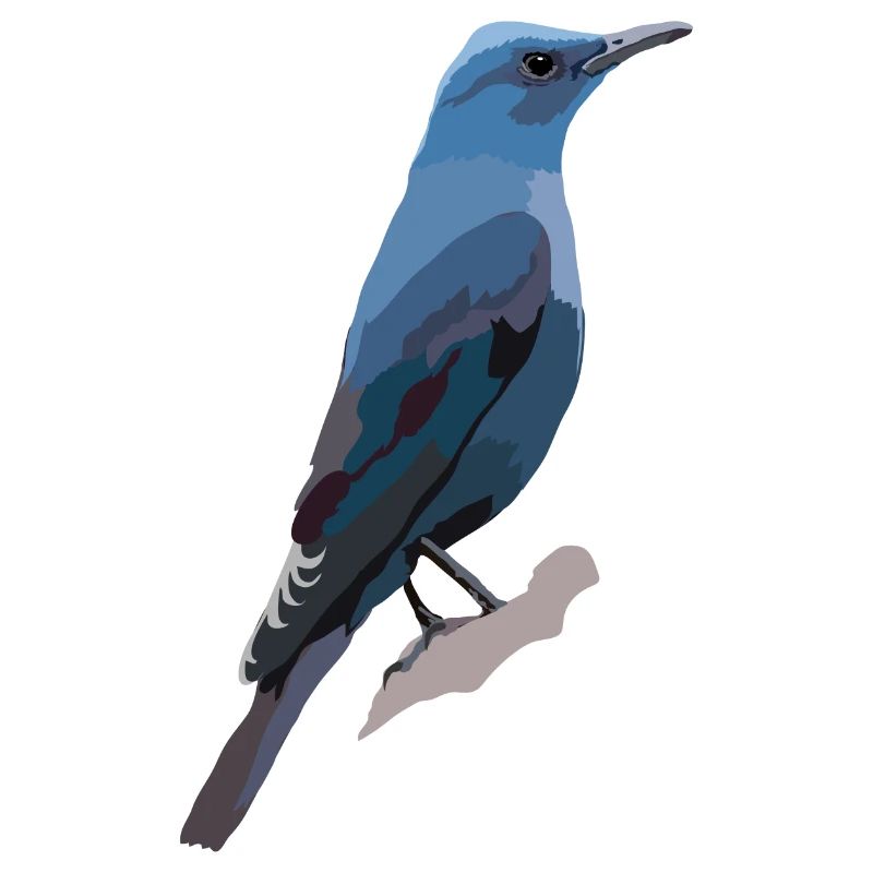 Blaumerle