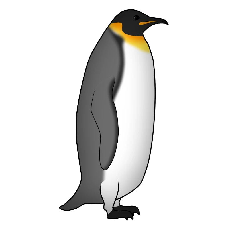 Kaiserpinguin steht