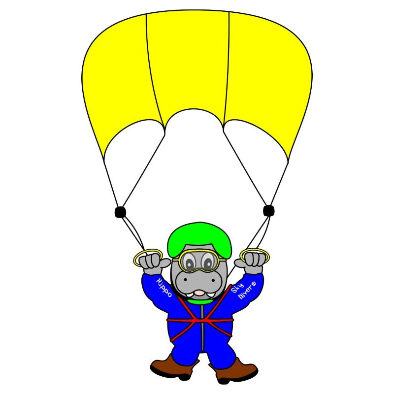 parachute parachuting skydiver