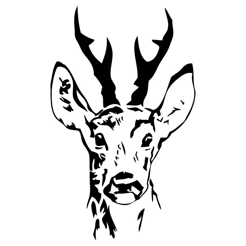 Rehbock - Hirsch - Deer