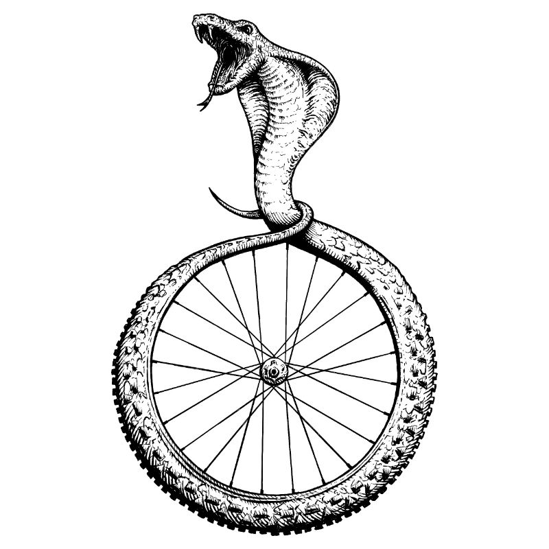 Snakebite