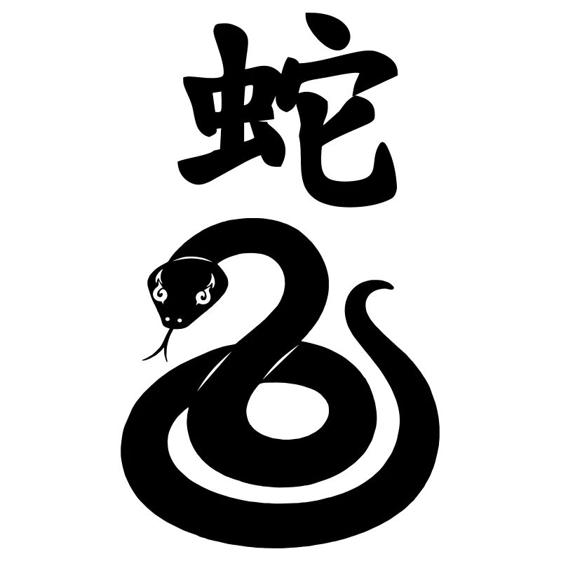 Chinese character snake with snake image