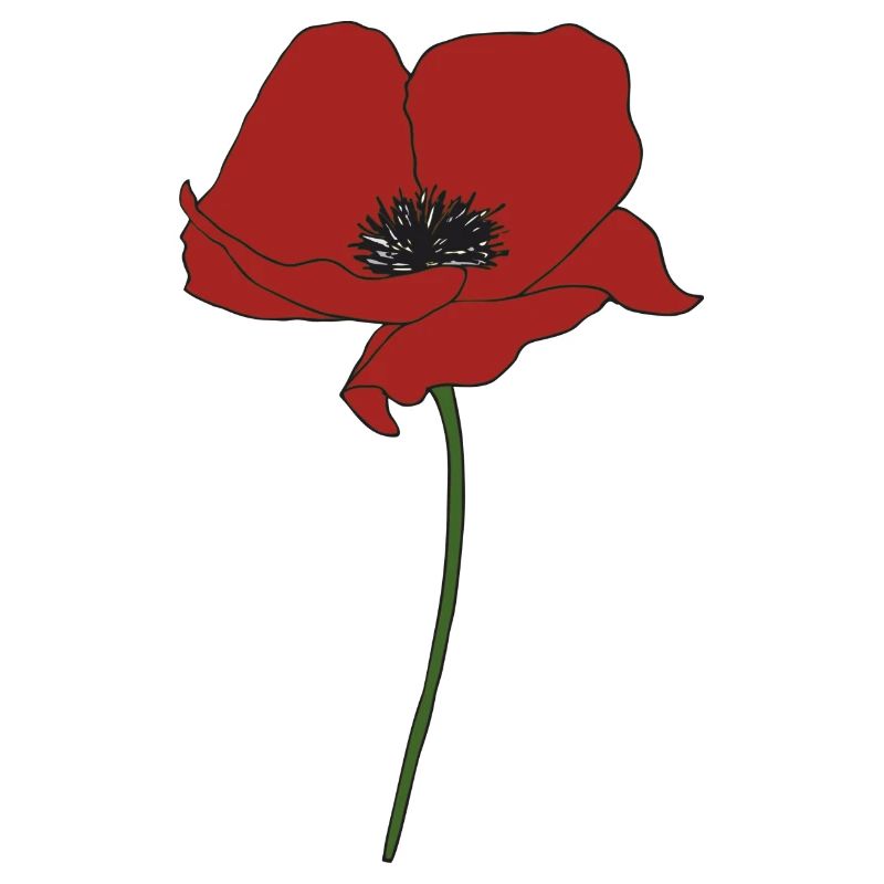 mohnblume