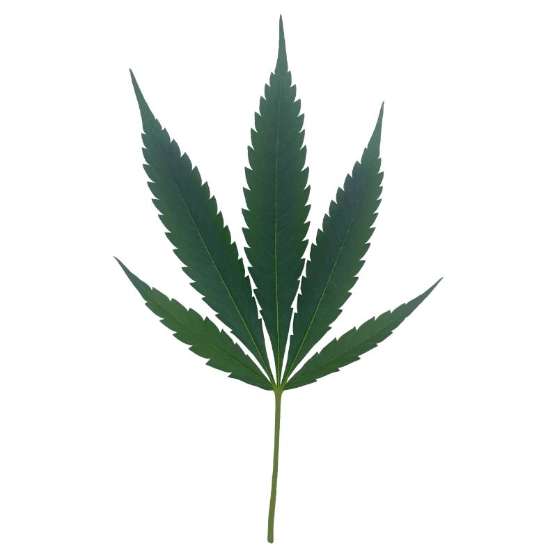 Time for cannabis