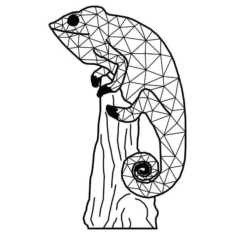 Chameleonn GeomeTRIX