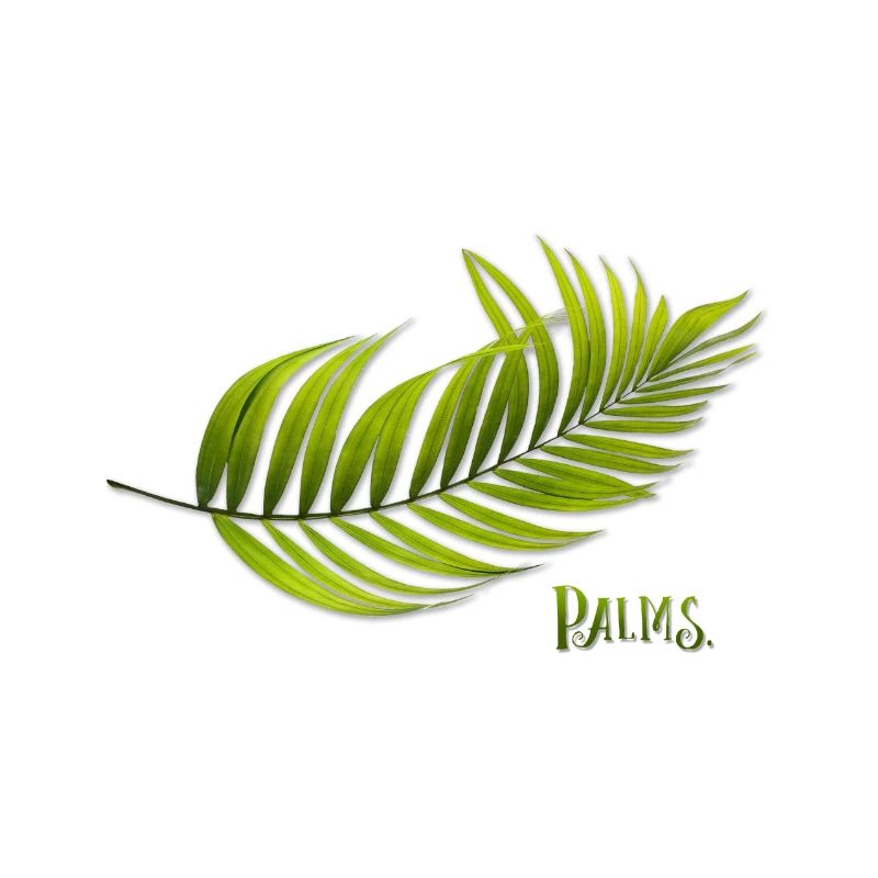 Palms palm tree shirt