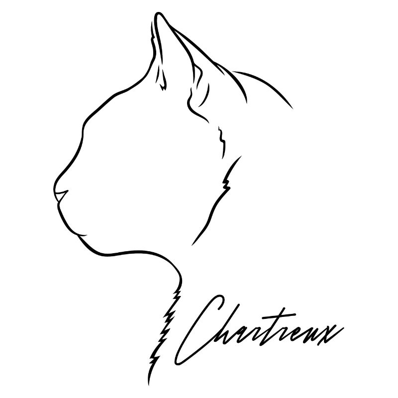 Chartreux Profil Chat Chats Wilsigns