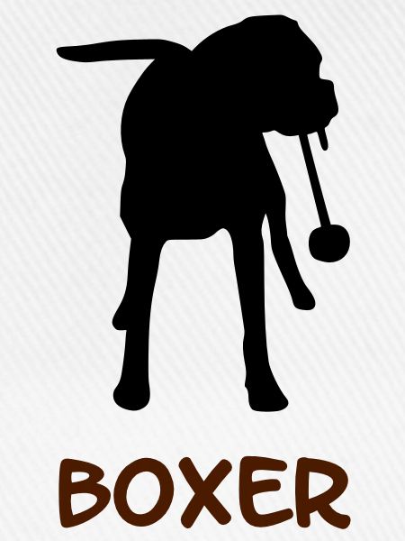 Boxer_2_cb