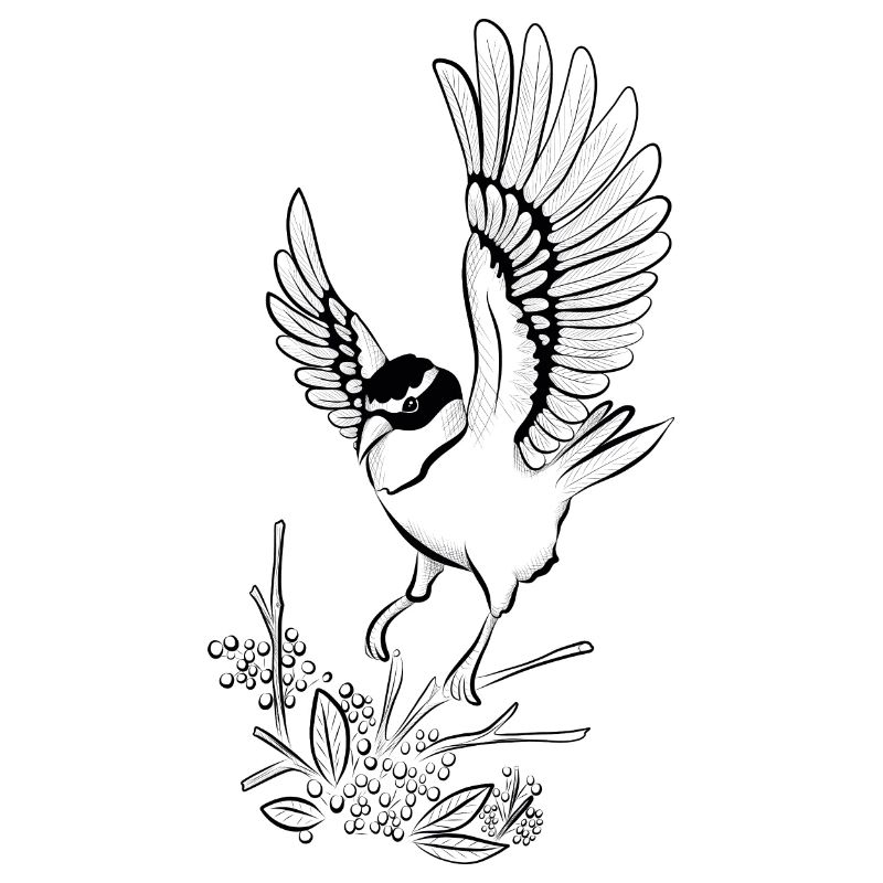 Vogel