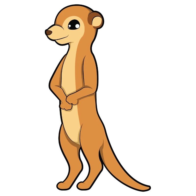 Erdmännchen