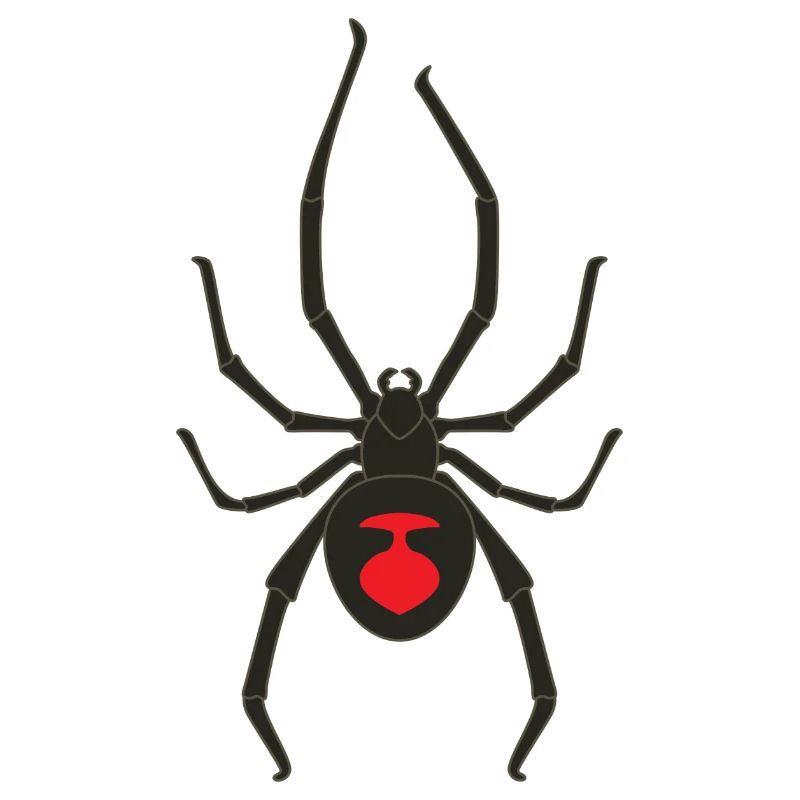 Schwarze Witwe