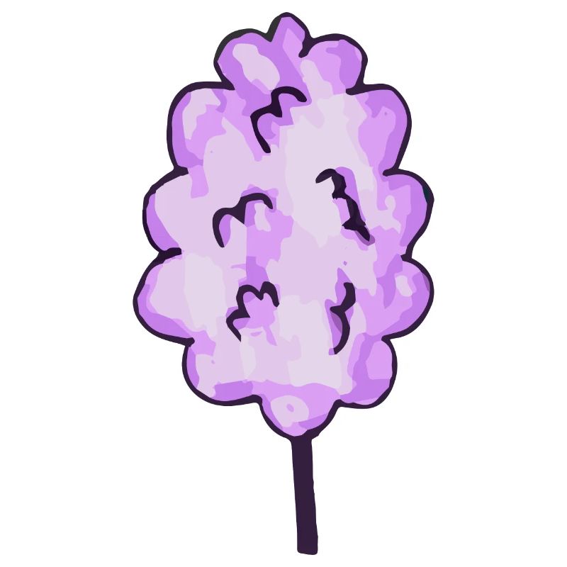 Barbe à papa violet