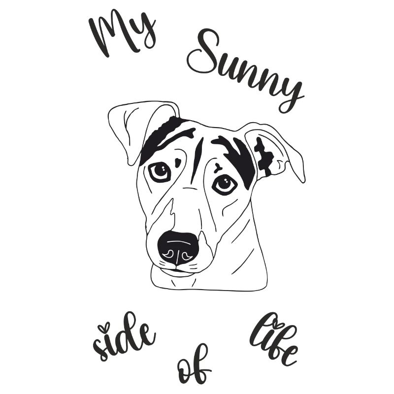 Jack Russell Terrier