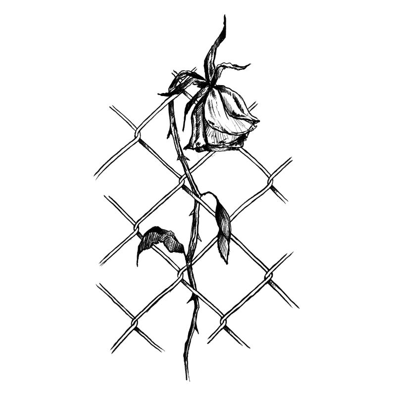 Blüte der Überwindung: Rose im Maschendraht
