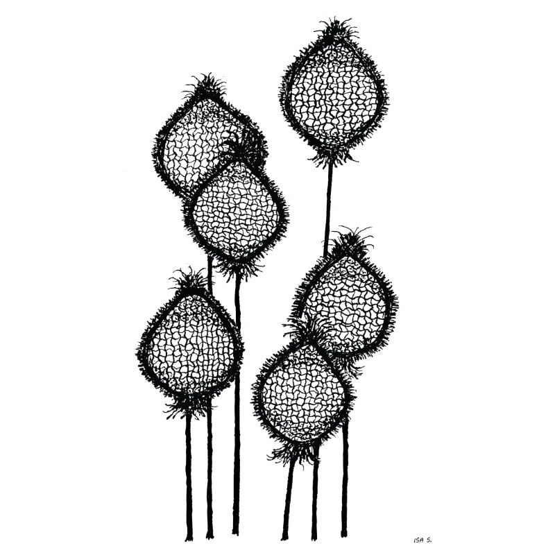 Mohnknospen oder Ananas am Stiel? Schwarz abstrakt