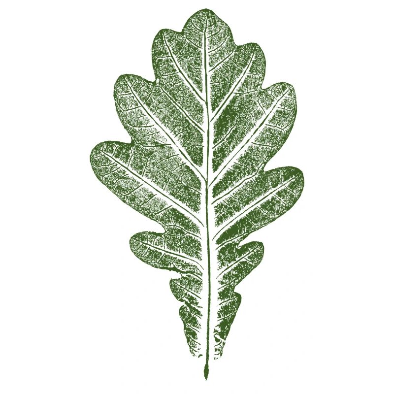 Blatt Eiche - Eichenblatt / Natur & Wald Design