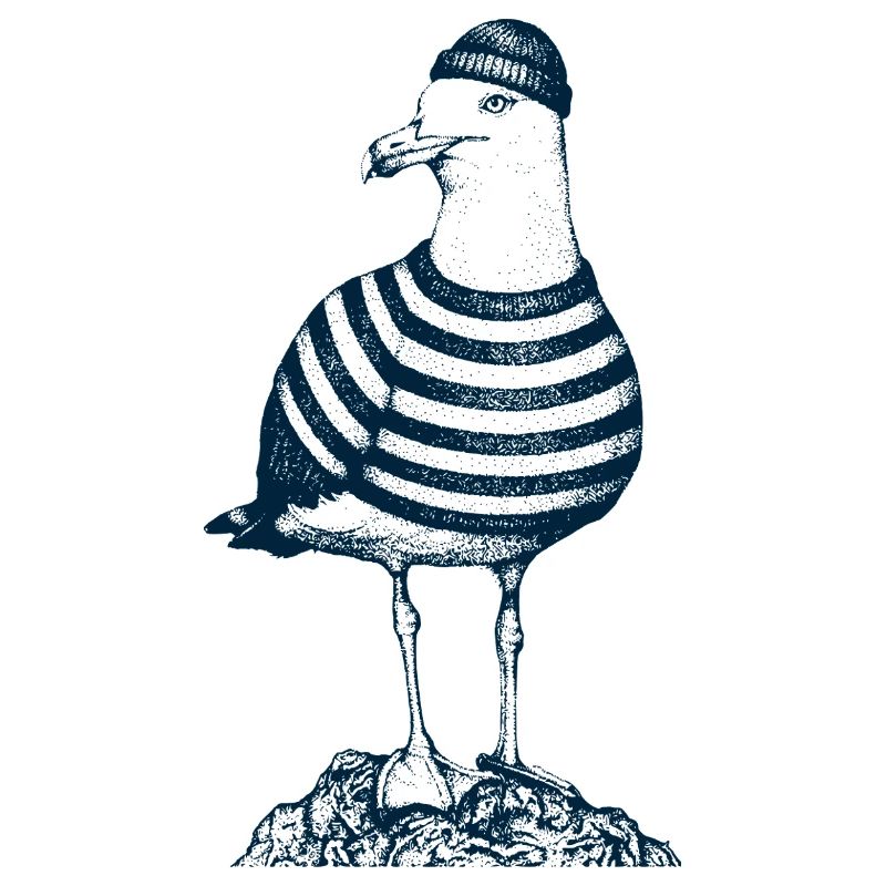 Mouette avec pull