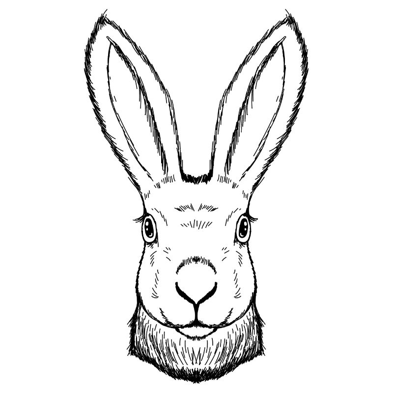 Rabbit drawn, handmade, Easter