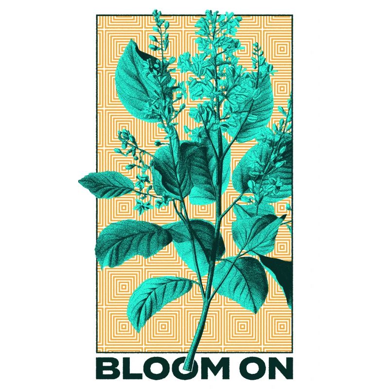 Conception de la flore et de la faune